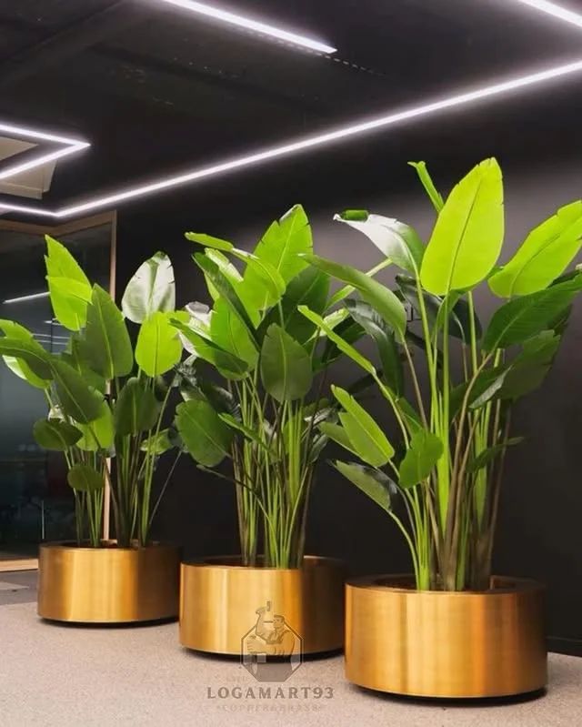 Custom Minimalist Bowl-Style Glossy Brass Flower Vase